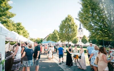 Pozvánka na Ostrovský festival vína 2024